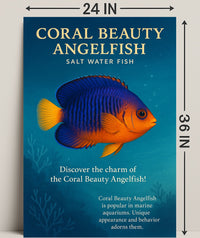 Coral Beauty Angelfish Wall Art Print PosterGoat