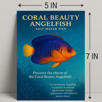 Coral Beauty Angelfish Wall Art Print PosterGoat