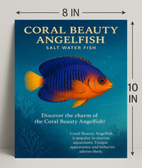 Coral Beauty Angelfish Wall Art Print PosterGoat