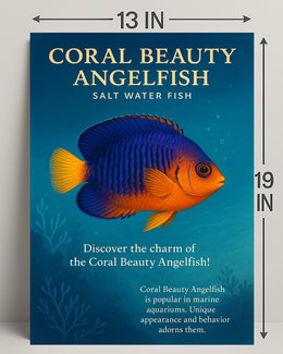 Coral Beauty Angelfish Wall Art Print PosterGoat