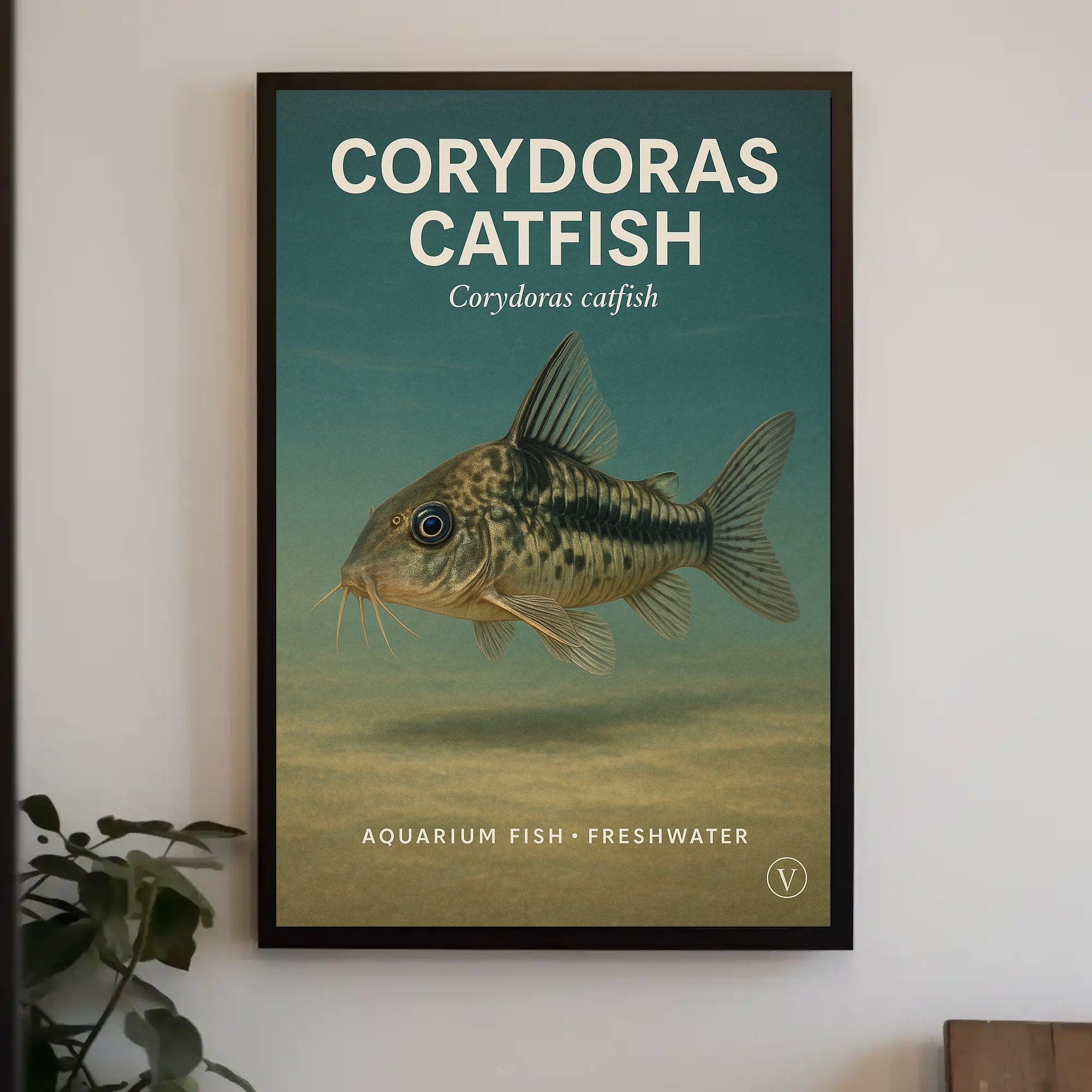 Corydoras Catfish Wall Art Decor Print PosterGoat