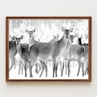 Deer Gathering Winter Wonderland Black and White Animal Poster PosterGoat