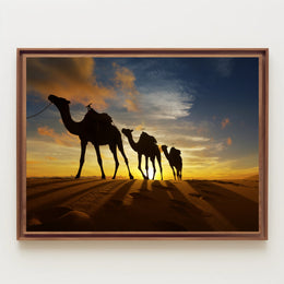 Desert Camels at Sunset Travel Poster PosterGoat