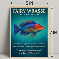 Discover the Charm of the Fairy Wrasse Poster PosterGoat