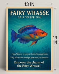 Discover the Charm of the Fairy Wrasse Poster PosterGoat