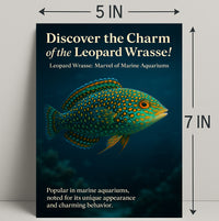 Discover the Charm of the Leopard Wrasse Poster PosterGoat