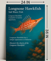 Discover the Longnose Hawkfish Poster PosterGoat