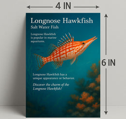 Discover the Longnose Hawkfish Poster PosterGoat