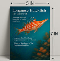 Discover the Longnose Hawkfish Poster PosterGoat