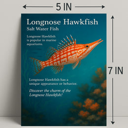 Discover the Longnose Hawkfish Poster PosterGoat