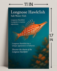 Discover the Longnose Hawkfish Poster PosterGoat