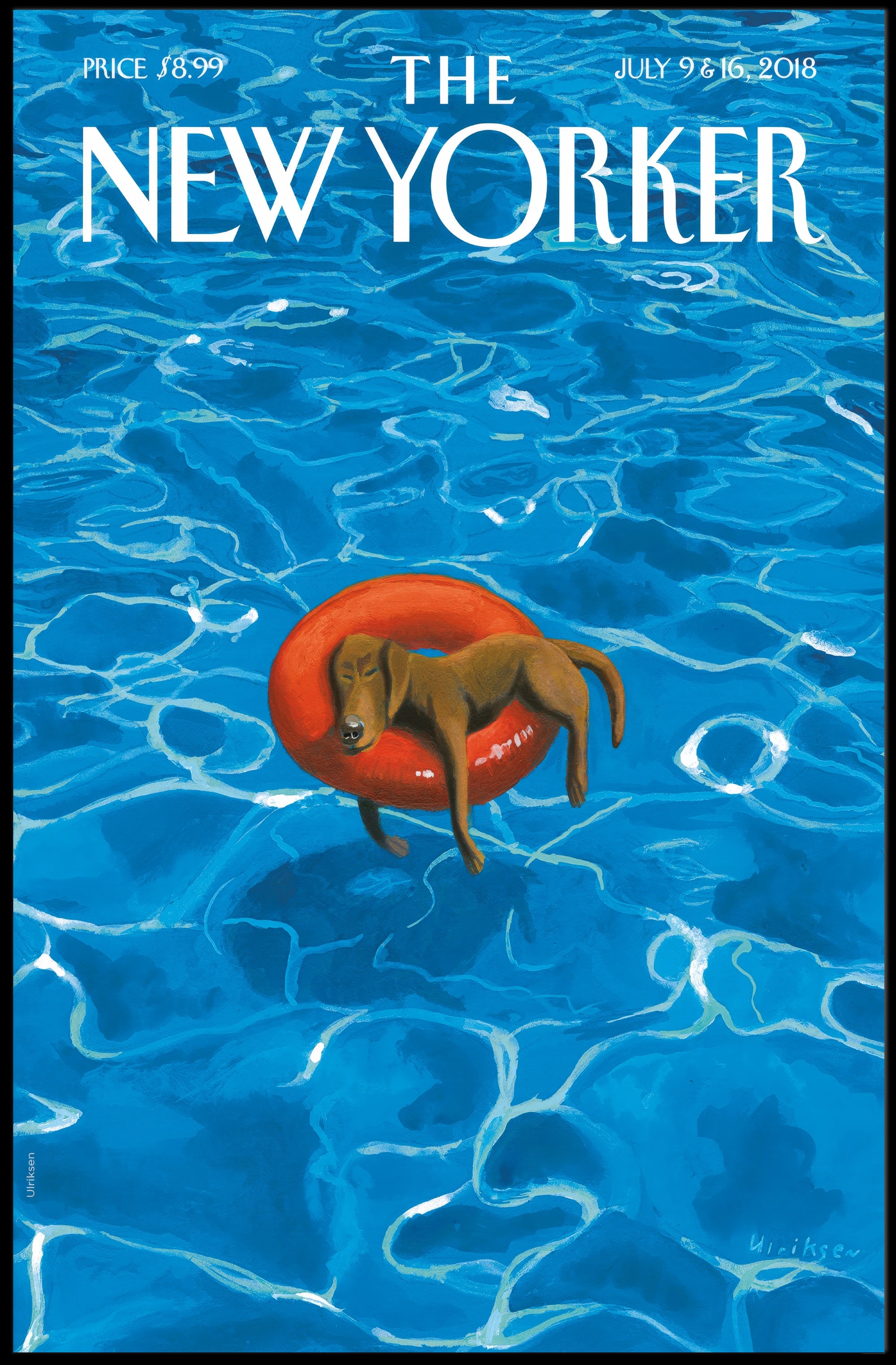 Dog on Inflatable Ring Summer Fun Animal Poster PosterGoat
