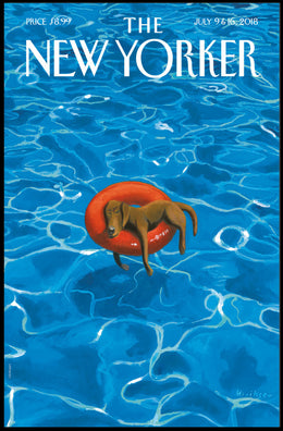 Dog on Inflatable Ring Summer Fun Animal Poster PosterGoat