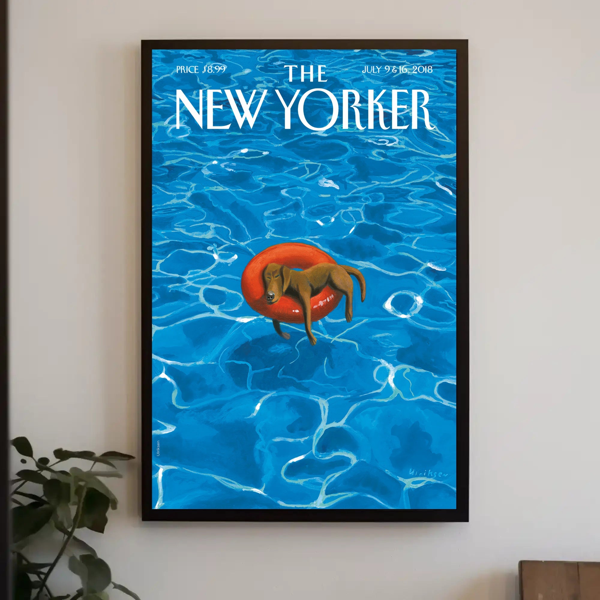 Dog on Inflatable Ring Summer Fun Animal Poster PosterGoat