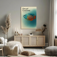 Dwarf Gourami Art Print Wall Decor Poster PosterGoat