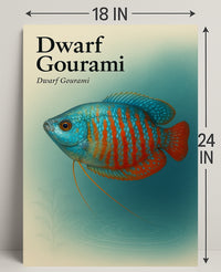 Dwarf Gourami Art Print Wall Decor Poster PosterGoat