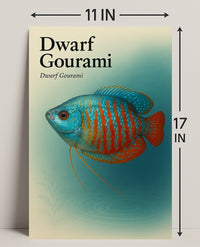 Dwarf Gourami Art Print Wall Decor Poster PosterGoat