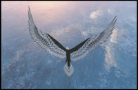 Eagle in Flight Over Water Artistic Animal Poster PosterGoat