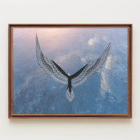 Eagle in Flight Over Water Artistic Animal Poster PosterGoat