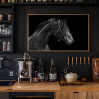 Elegance and Strength: Black and White Horse Animal Poster PosterGoat