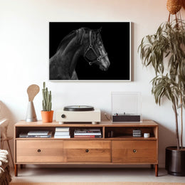 Elegance and Strength: Black and White Horse Animal Poster PosterGoat