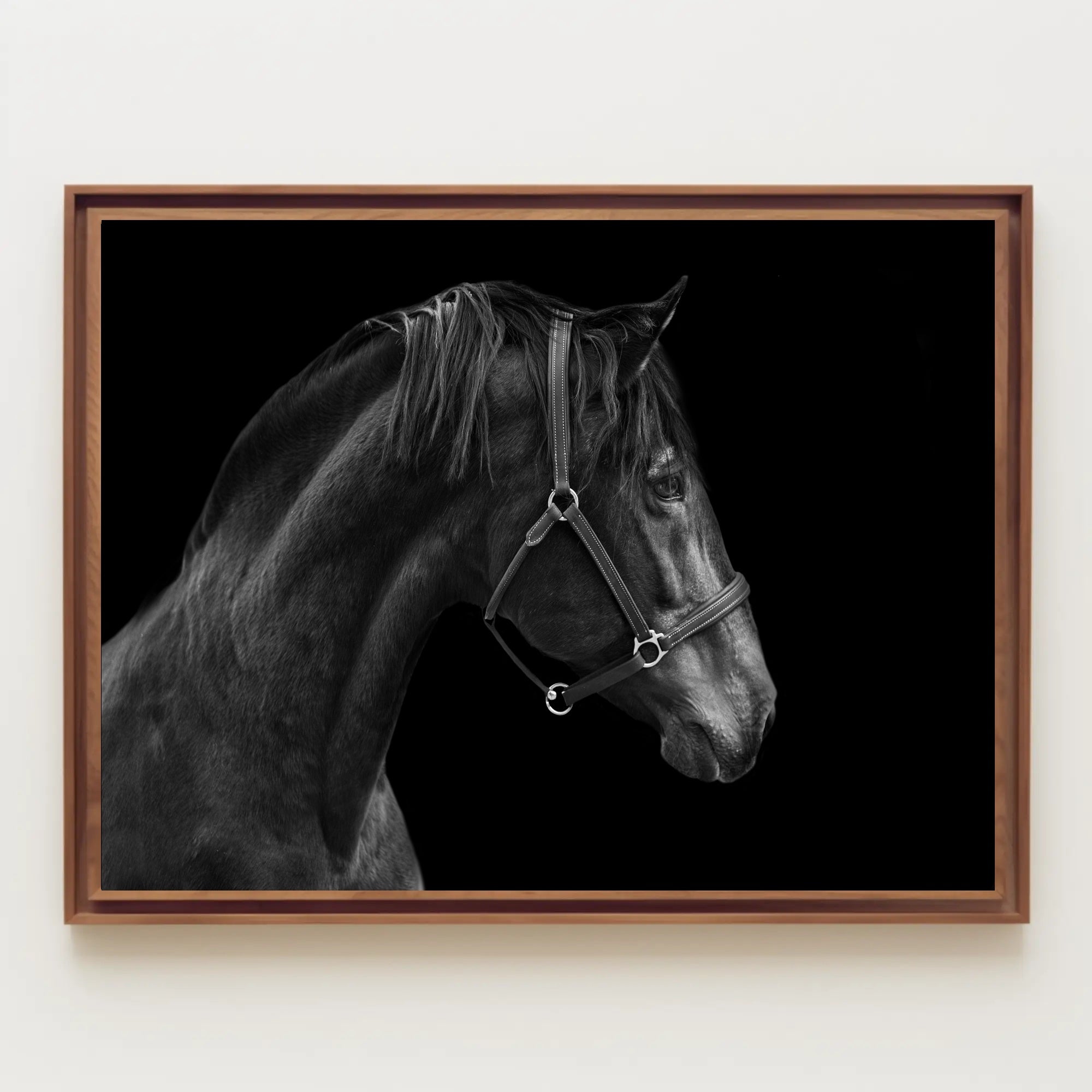 Elegance and Strength: Black and White Horse Animal Poster PosterGoat