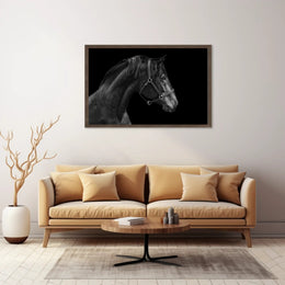 Elegance and Strength: Black and White Horse Animal Poster PosterGoat
