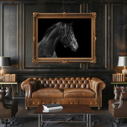 Elegance and Strength: Black and White Horse Animal Poster PosterGoat
