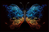 Elegant Ornate Butterfly: Animal Art Poster PosterGoat