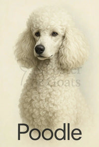 Elegant Poodle Artistry in Minimalist Dog Breed Poster PosterGoat
