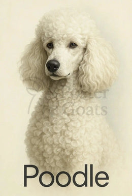 Elegant Poodle Artistry in Minimalist Dog Breed Poster PosterGoat