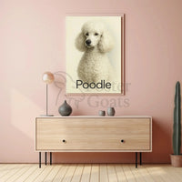 Elegant Poodle Artistry in Minimalist Dog Breed Poster PosterGoat