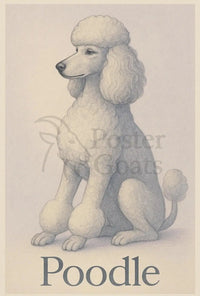 Elegant Poodle Illustration for Dog Breed Poster PosterGoat