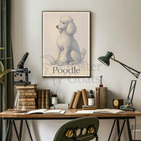 Elegant Poodle Illustration for Dog Breed Poster PosterGoat