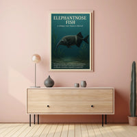 Elephantnose Fish Nature's Marvel Poster PosterGoat