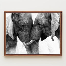 Elephants in Harmony: Majestic Wildlife Art Print for Animal Poster PosterGoat