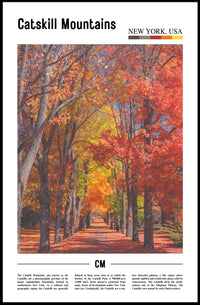 Fall Foliage Pathway in Catskills, New York – Poster PosterGoat