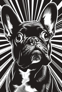 French Bulldog Illustration: Black & White Dog Breed Poster PosterGoat