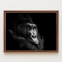 Gorilla Wildlife Sensation Captured: Stunning Animal Poster PosterGoat
