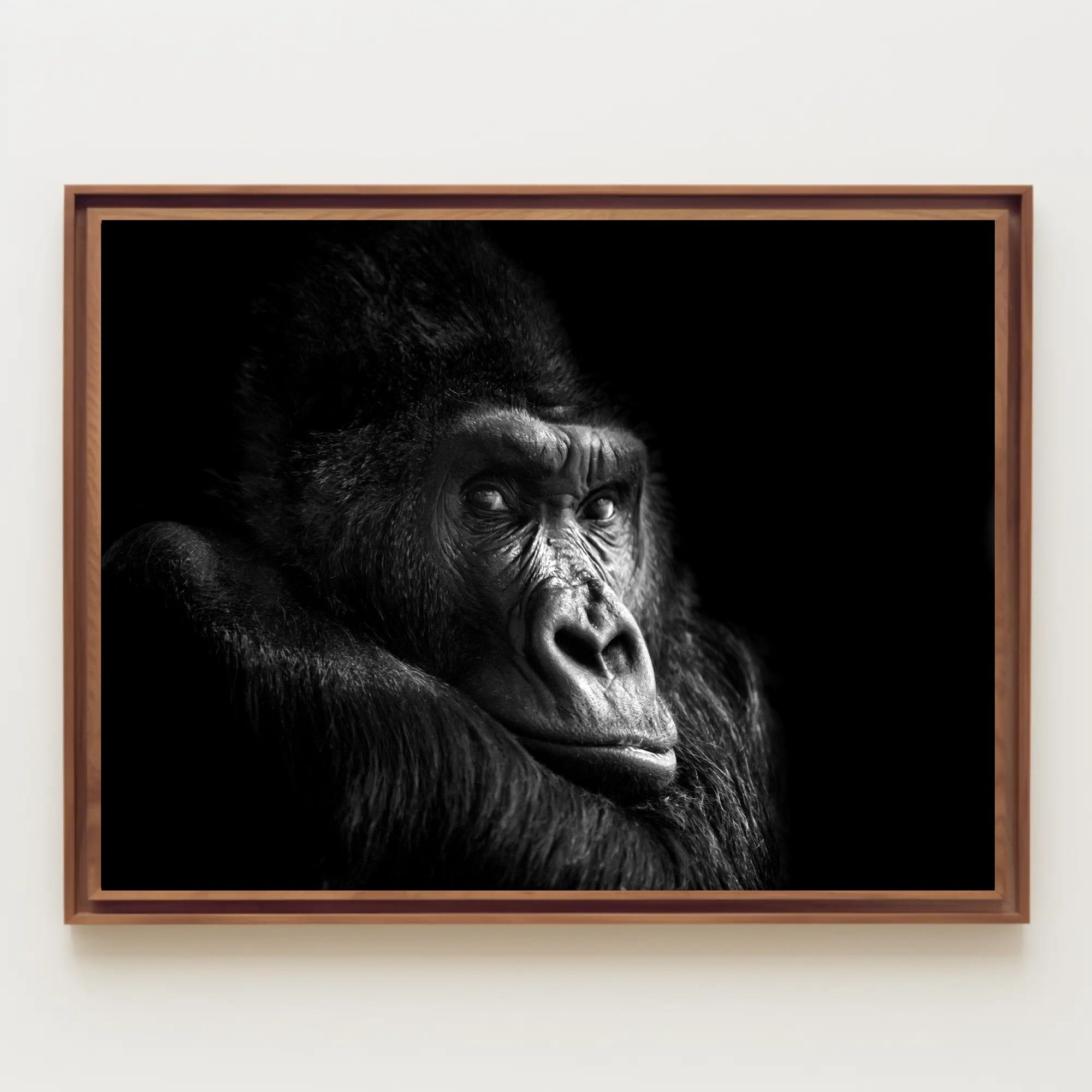 Gorilla Wildlife Sensation Captured: Stunning Animal Poster PosterGoat