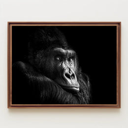 Gorilla Wildlife Sensation Captured: Stunning Animal Poster PosterGoat