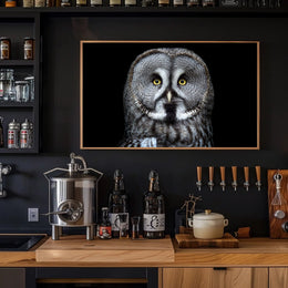 Great Grey Owl Intensity Animal Poster PosterGoat