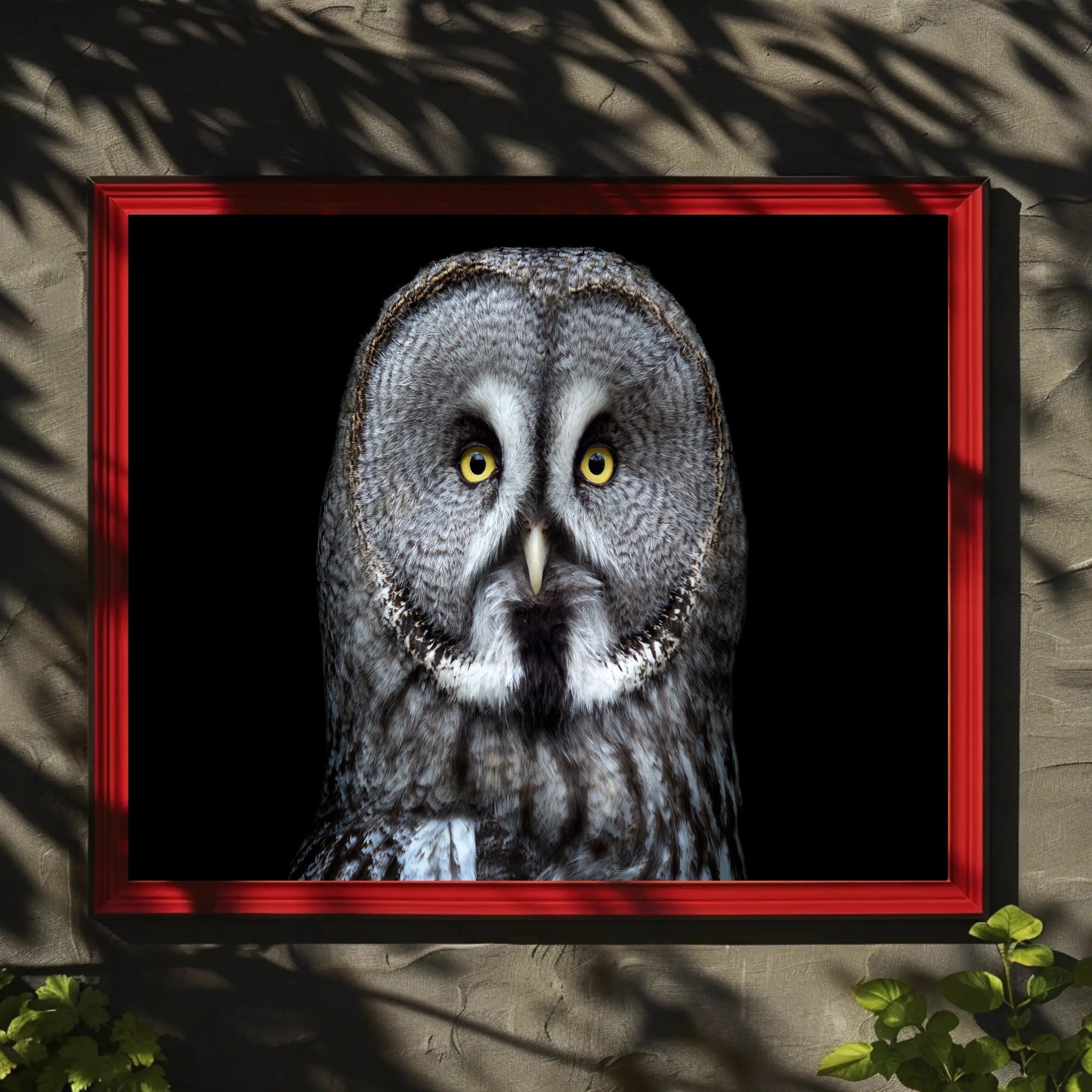 Great Grey Owl Intensity Animal Poster PosterGoat