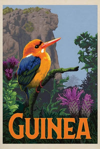 Guinea Kingfisher Tropical Travel Adventure Poster PosterGoat
