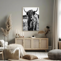 Highland Cow Portrait in Stunning Animal Poster PosterGoat