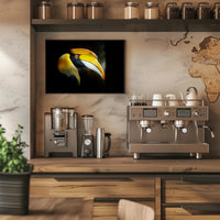 Hornbill in Tropical Habitat Animal Poster PosterGoat