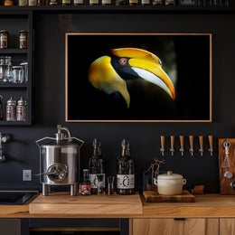 Hornbill in Tropical Habitat Animal Poster PosterGoat