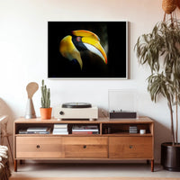 Hornbill in Tropical Habitat Animal Poster PosterGoat