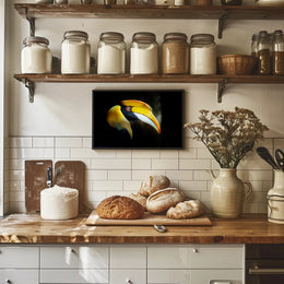 Hornbill in Tropical Habitat Animal Poster PosterGoat