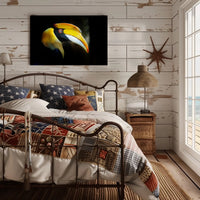 Hornbill in Tropical Habitat Animal Poster PosterGoat